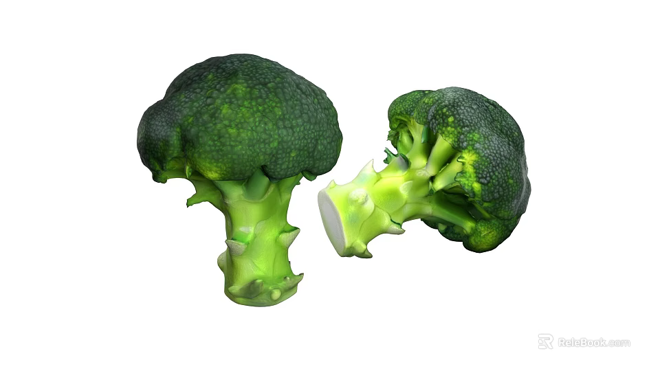 Fresh Green Broccoli Vegetable With Cut Stem And Healthy Florets 3d model 
