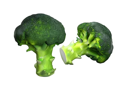 Fresh Green Broccoli Vegetable With Cut Stem And Healthy Florets 3d model