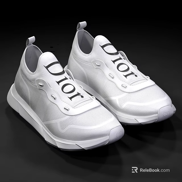 White Dior Logo Sneakers With Mesh Upper And Casual Style Design 3d model 