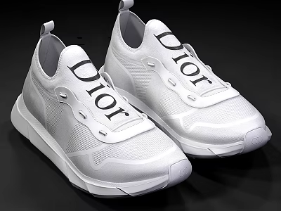 White Dior Logo Sneakers With Mesh Upper And Casual Style Design 3d model