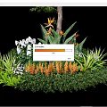 Tall Arbor Surrounded by White Flowers Orange Blooms Green Foliage and Lush Plants