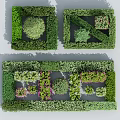 Various Shaped Flowering Shrubs in Garden Landscaping with Green and Purple Foliage