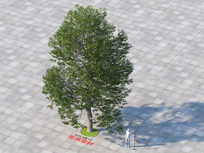 Lush Green Arbor With Dense Foliage And Thick Trunk On Patterned Paved Ground 3d model