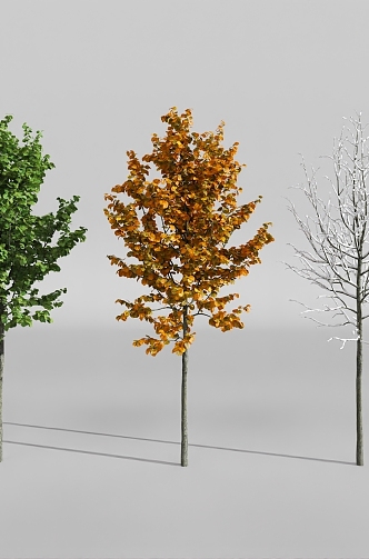 plant four seasons landscape tree spring summer autumn winter 3d model