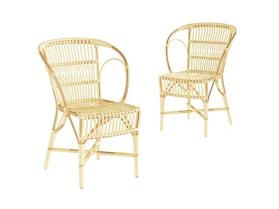 Natural Rattan Dining Chairs Set Of Two With Armrests For Home Dining Room 3d model