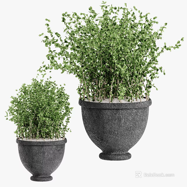Lush Green Potted Plants In Dark Textured Planters For Home Decor 3d model 