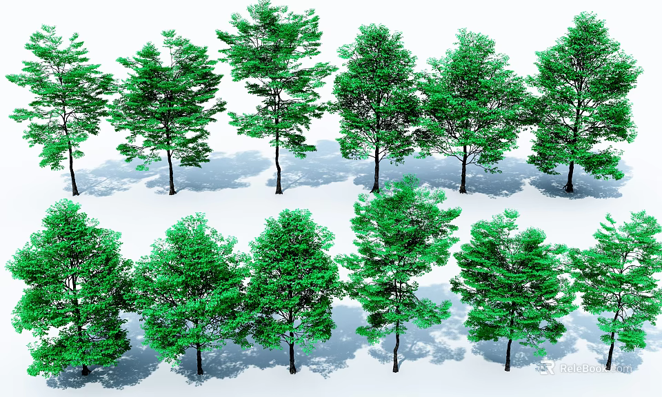 Multiple Lush Green Trees Neatly Arranged With Shadows On White Background 3d model 