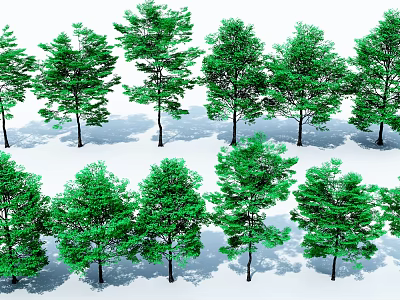 Multiple Lush Green Trees Neatly Arranged With Shadows On White Background 3d model