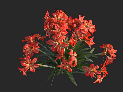 Beautiful Vibrant Red Flowers With Lush Green Leaves In Full Bloom 3d model