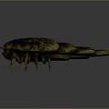 Ancient Trilobite Prehistoric Marine Arthropod With Segmented Body Spotted Exoskeleton And Multiple Legs