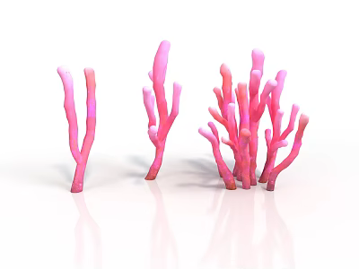 Vibrant Pink Coral Like Branching Plants With Various Shapes And Structures 3d model