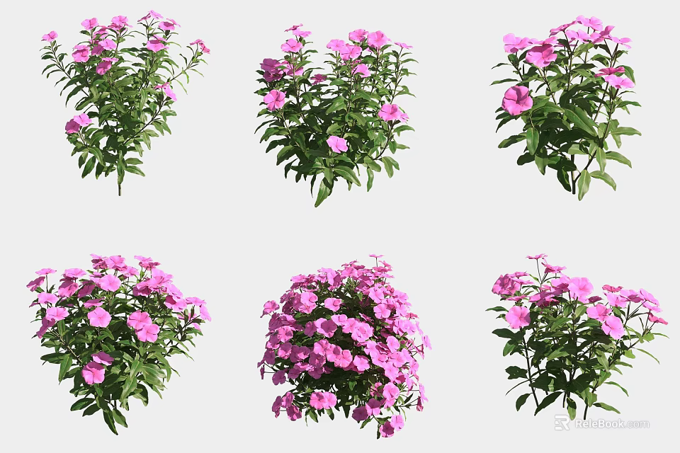 Pink Potted Flowers With Green Leaves And Lush Blooms For Garden Decor 3d model 