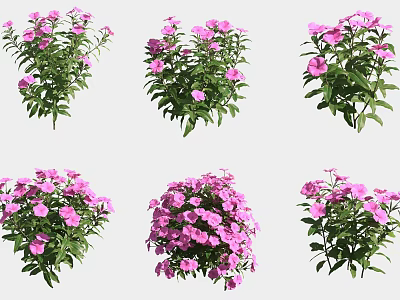 Pink Potted Flowers With Green Leaves And Lush Blooms For Garden Decor 3d model