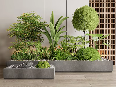 Various Green Shrubs In Gray Planters With Spherical Topiary And Wooden Floor 3d model