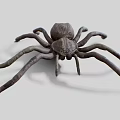 3D Rendered Brown Spider With Long Legs On White Background