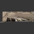 Adorable Tabby Cat Lying Comfortably On Soft Carpet With Beige Mat