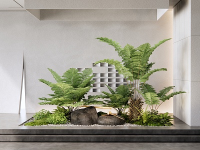 Modern indoor plants sketch fern plant pile landscape landscaping plant combination courtyard landscape sketch water bowl model