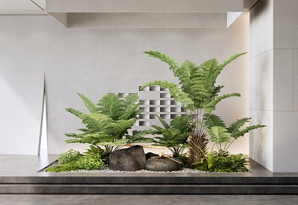 Modern indoor plants sketch fern plant pile landscape landscaping plant combination courtyard landscape sketch water bowl 3d model