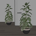 poliform modern potted plants 3d model