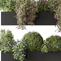 Stylish Black Flower Pots With Purple Flowers Green Shrubs And Blue Blooms