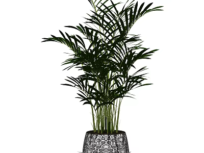 Elegant Indoor Potted Plant With Lush Green Fronds In Intricately Patterned Pot 3d model