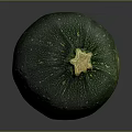 Fresh Green Round Zucchini Vegetable With Striped Skin And Healthy Food Option