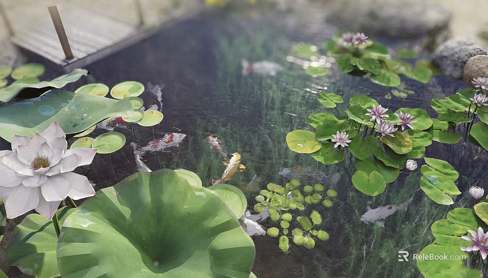 Garden Ornamental Pond with Lotus Leaves Water Lilies Aquatic Plants and Koi Fish 3d model 