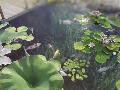 Garden Ornamental Pond with Lotus Leaves Water Lilies Aquatic Plants and Koi Fish 3d model