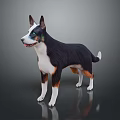 Detailed 3D Character Model of Black White Brown Dog Standing on Dark Reflective Surface