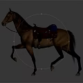 Brown Horse With Red Saddle And Blue Blanket Walking In Motion