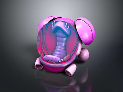 Pink Purple Biomorphic 3D Art Piece With Spiral Internal Structure And Smooth Shell Design 3d model