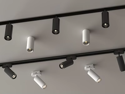 Modern Track Spotlights In Black And White For Ceiling Lighting Design 3d model