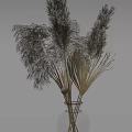 Minimalist Transparent Glass Vase With Dried Pampas Grass Reeds Home Decor