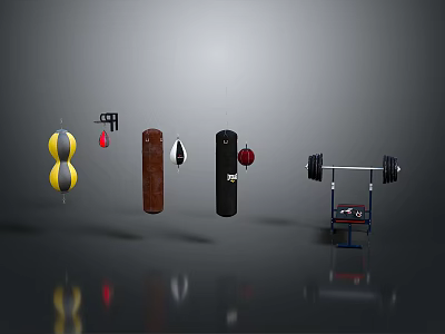 Hanging And Standing Punching Bags With Barbell Home Fitness Equipment 3d model