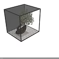 Lush Green Bonsai Plant With Curved Trunk In Black Pot Modern Interior