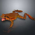 Orange Brown Frog Displaying Open Mouth Extended Limbs on Dark Background with Natural Amphibian Features