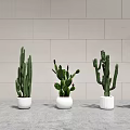 Bonsai Potted Plants in White and Gray Pots Against Light Wall and Gray Floor