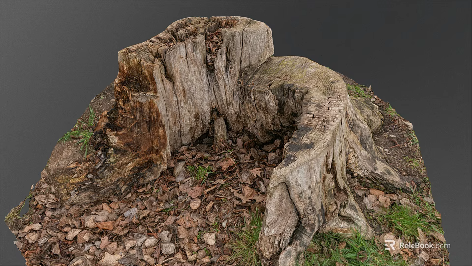 Decaying Old Tree Stump With Natural Texture Surrounded By Fallen Leaves And Grass 3d model