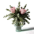 Pink Protea Flowers in Clear Glass Vase with Fresh Green Eucalyptus Leaves