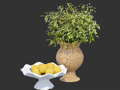 Decorative Ornament Set with Woven Vase Green Plant White Bowl and Yellow Lemons 3d model