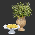 Decorative Ornament Set with Woven Vase Green Plant White Bowl and Yellow Lemons