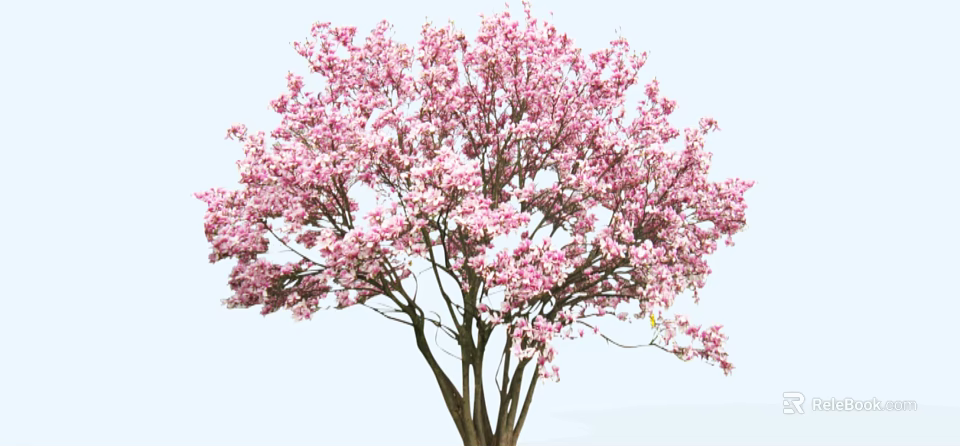 Beautiful Arbor With Pink Blossoms And Brown Trunk On Light Blue Background 3d model 