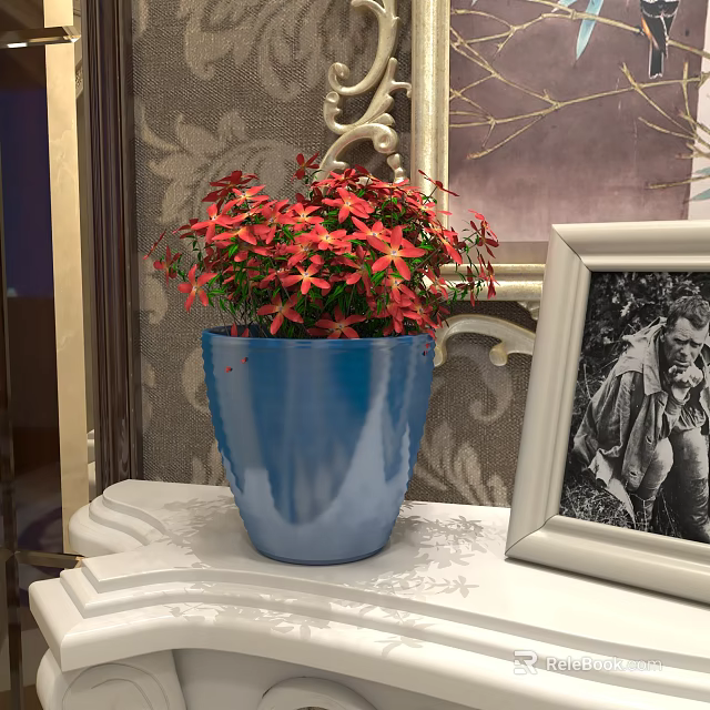 Potted Plant with Red Flowers in Blue Pot on Decorative Table with Picture Frame 3d model 