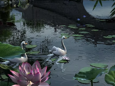 Serene Pond Landscape with White Swans Lotus Flowers and Floating Leaves 3d model