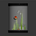 Beautiful Red Koi Fish Swimming in Glass Fish Tank with Green Aquatic Plants and Stones