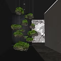 Hanging Rocks with Green Plants and Decorative Tree Branch Backdrop in Modern Interior
