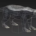 honey badger 3d model