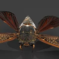 Close Up View Of Cicada With Brown Wings And Detailed Body Structure