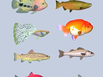 fish freshwater fish aquatic animal 3d model