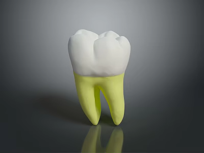 Dental Medical Device Anatomical Model With White Crown And Yellow Root Structure 3d model